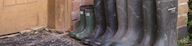 A family's Wellington boots in a row