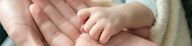 New born baby's hand in the palm of an adult's