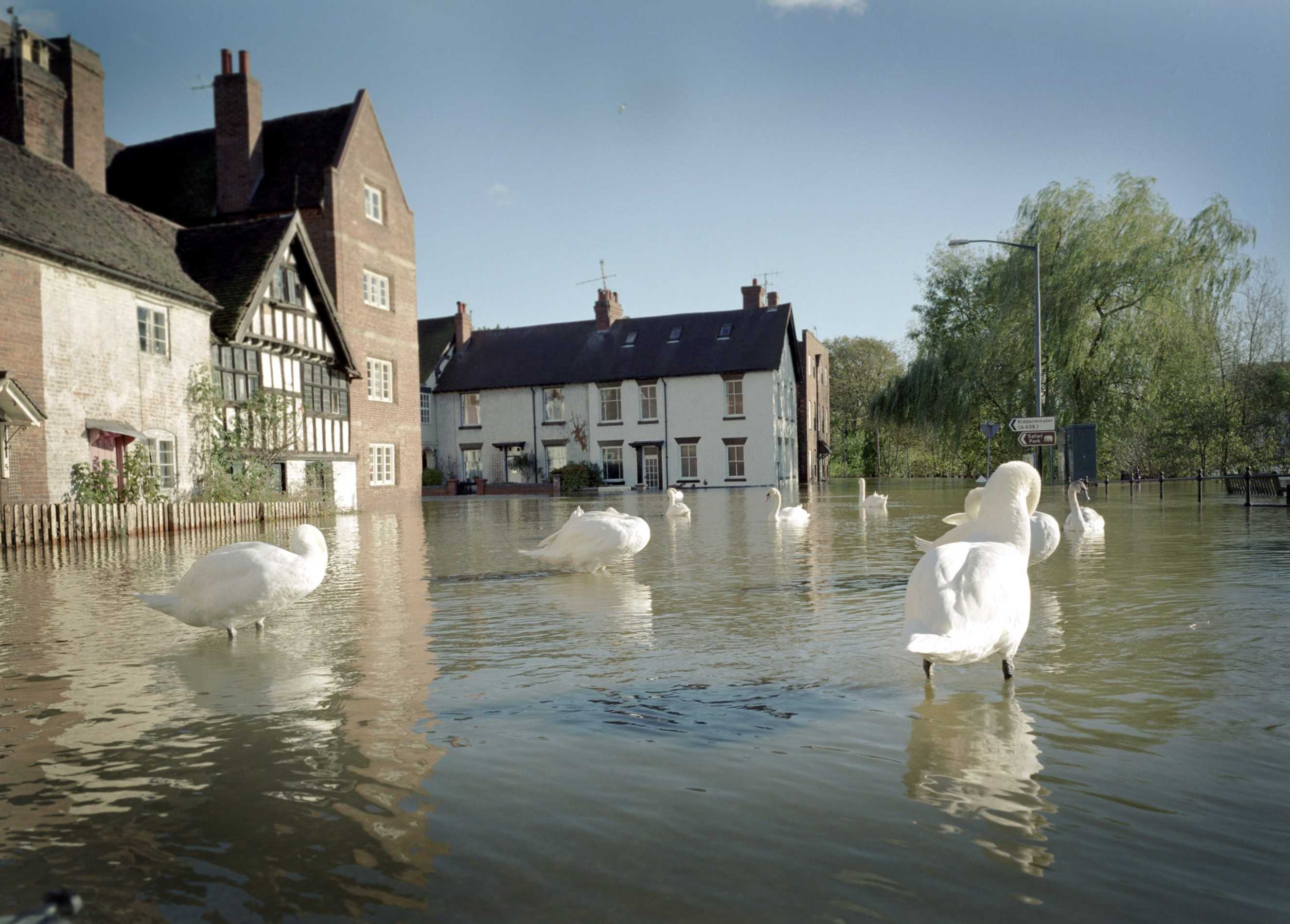 Image showing a Flooded Village road