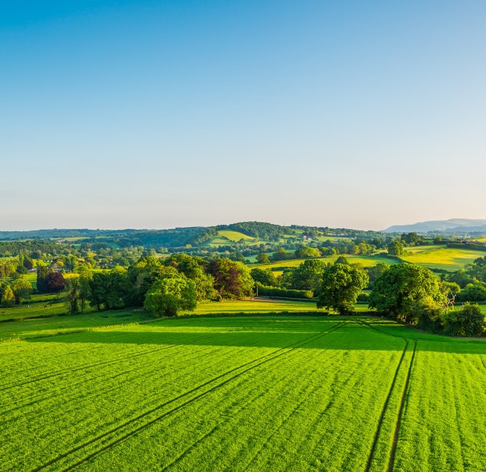 Green fields with blue sky on horizon