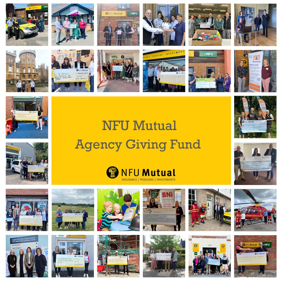 2023-agency-giving-fund-collage.jpg
