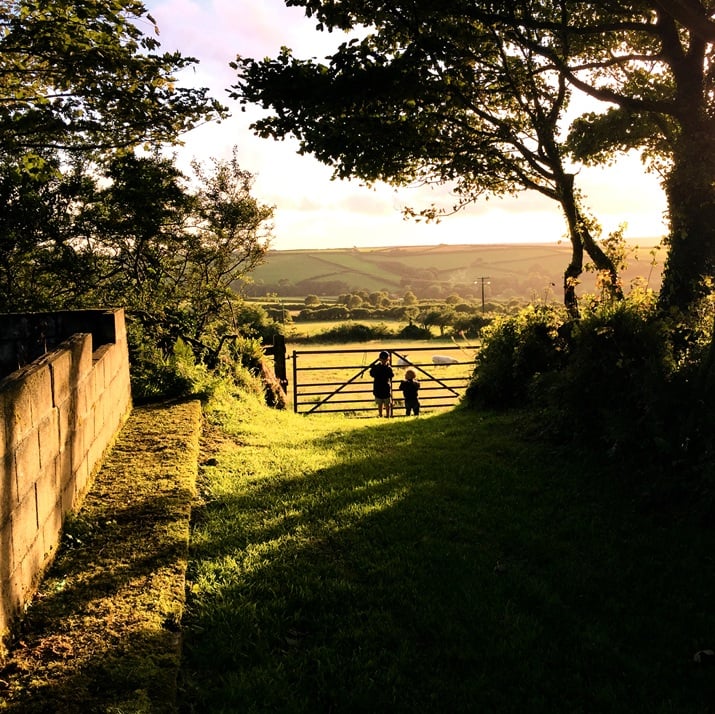 Two young boys stand at a farm gate at sunrise