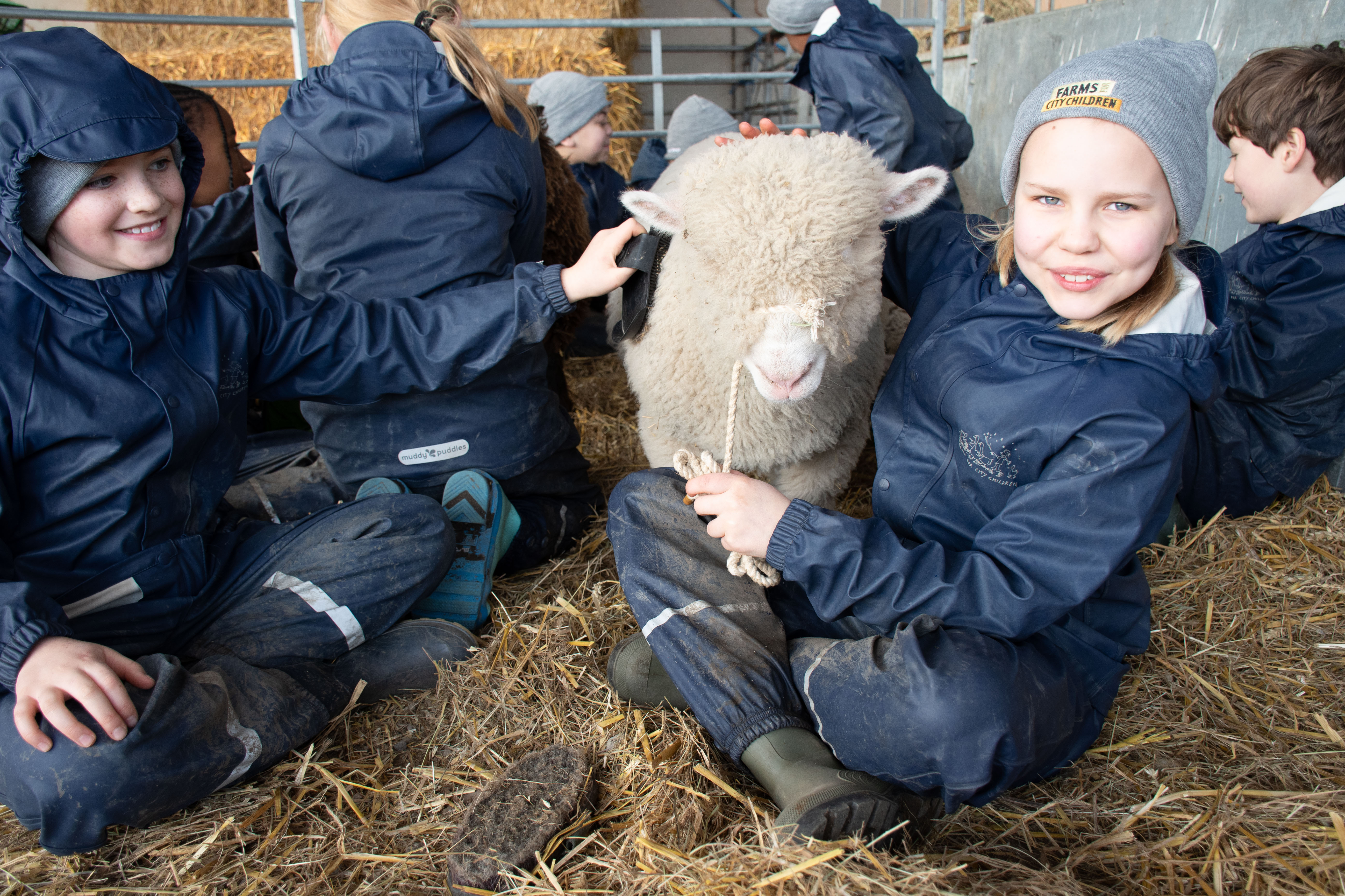 Two children sat with a sheep