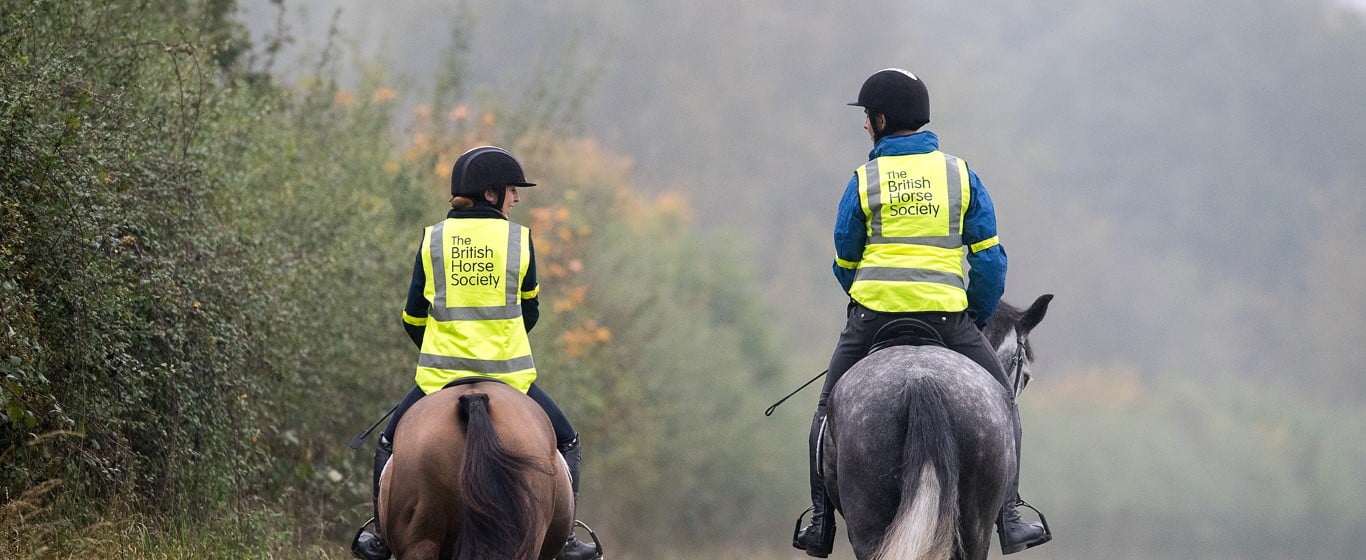 horse riders on a rural road