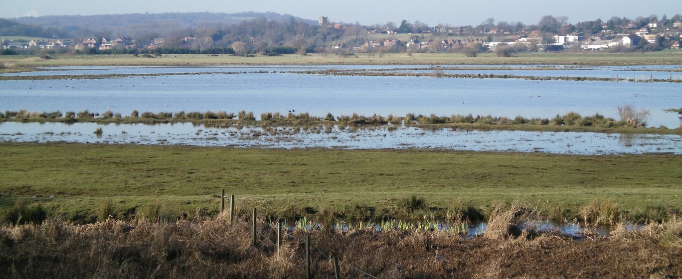 Pulborough brooks, bird sanctuary in West Sussex