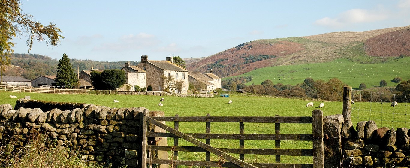 farm house with farm gate and sheep
