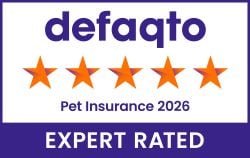 Defaqto 5 Star Award for Pet Insurance 2026