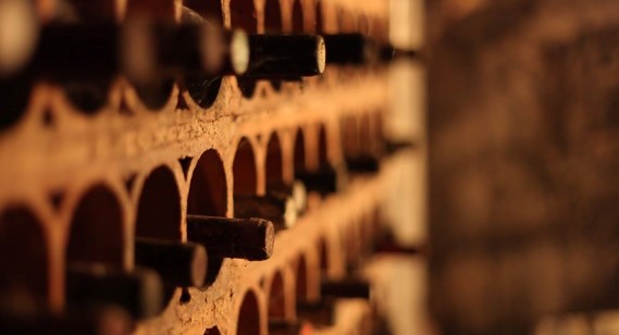 bottles of wine in a cellar