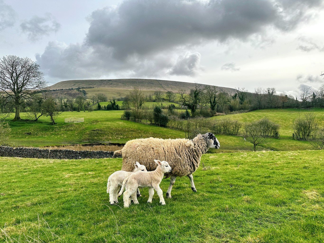 www.nfumutual.co.uk