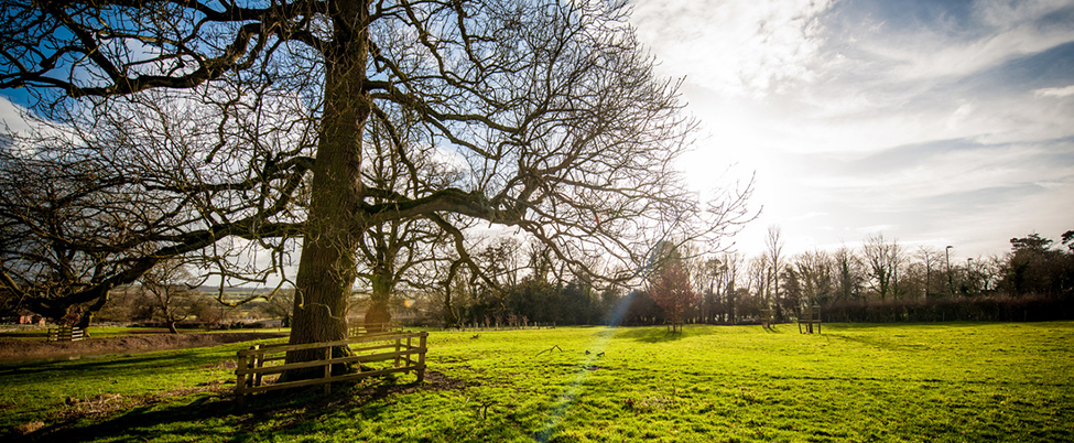 countryside sun