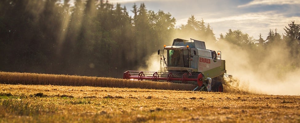 Combine harvester harvesting crops