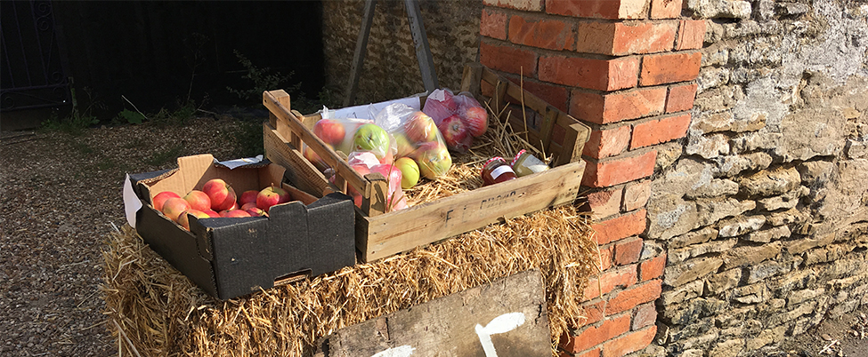 Smallholder income ideas banner selling fruit