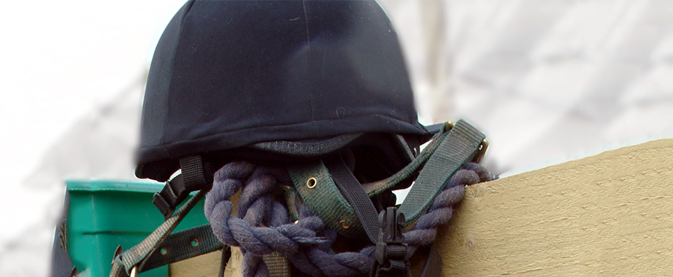 Bridle set resting on fence