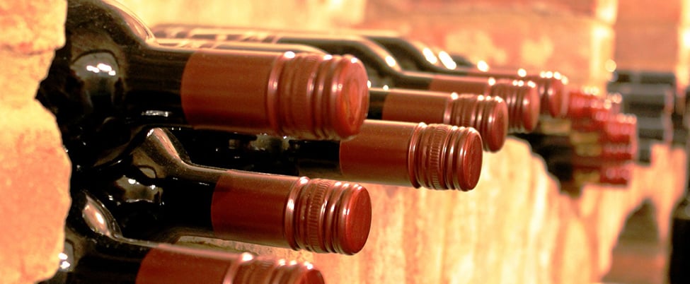 bottles of wine stored in a cellar