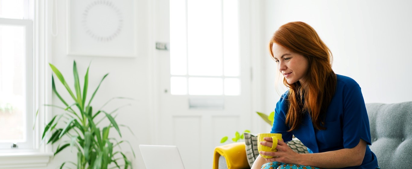 lady on the sofa looking at a laptop
