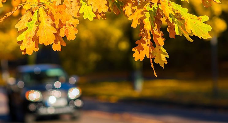 Autumn motoring