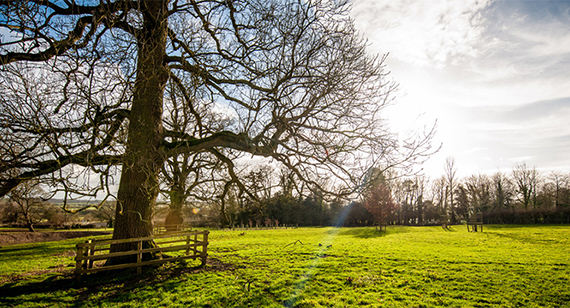 Countryside sun