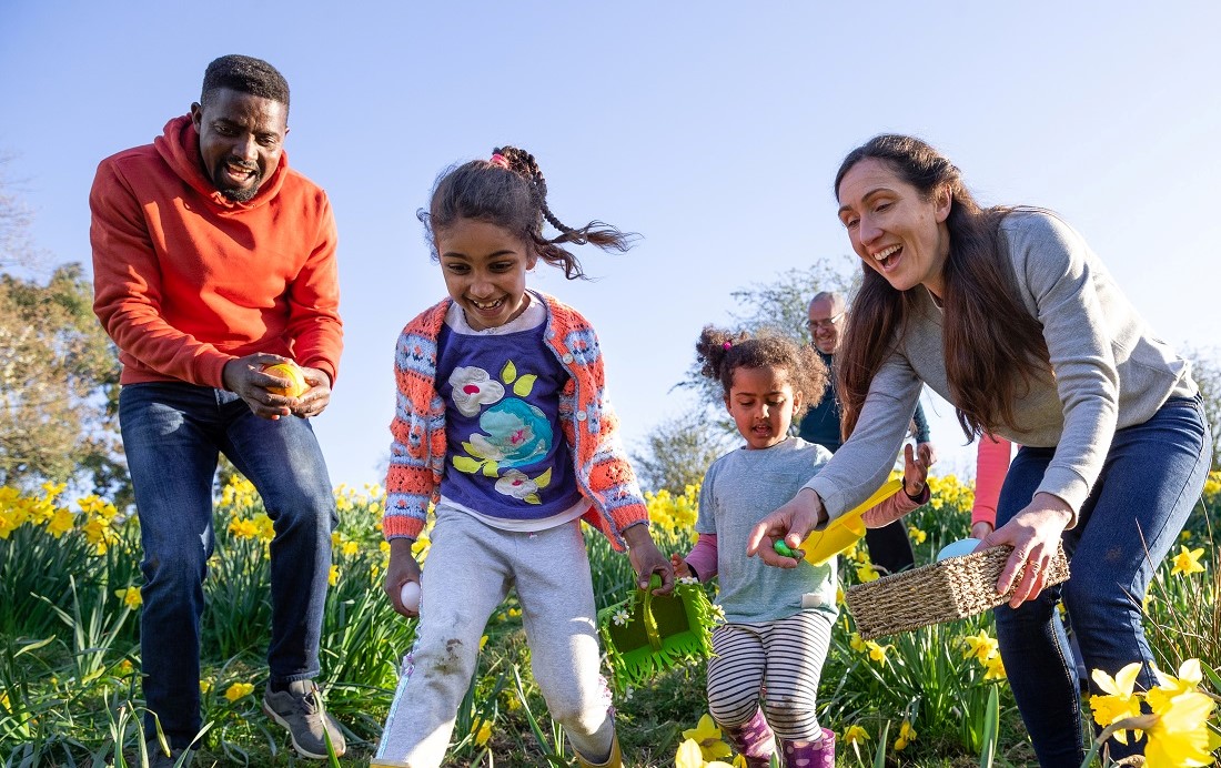 family playing in a field